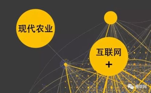 農產品網絡銷售的困境與挑戰